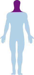 body parts